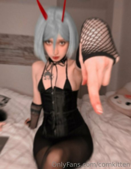 cornkitten estrella hermosa recopilación