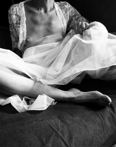 Blue Domino73 estrella libre galerías