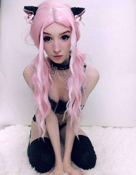 WhiteFox étoile de l'art images