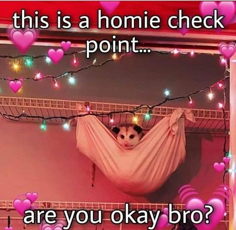 Peachkissx star du porno parfaite images