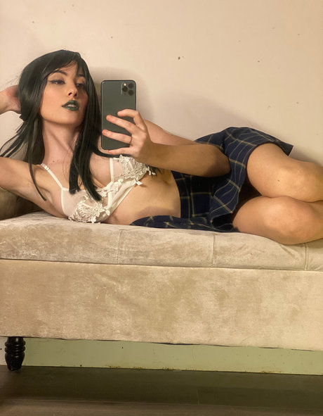 Antonsugarh bonita estrella galerías