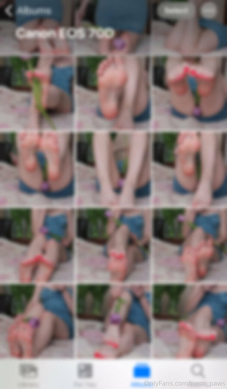 neon paws estrella agradable galería