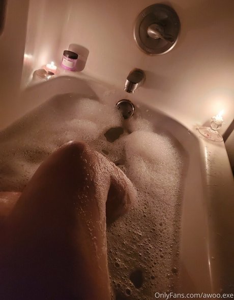 awoo exe art modèle image