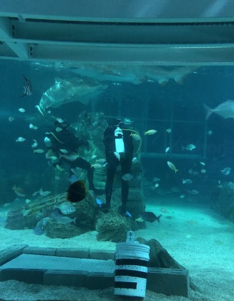 amandadivine estrella porno hd fotos