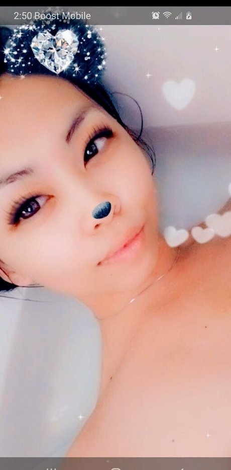 pajrose estrella imagen