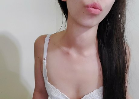 pajrose nus étoiles image