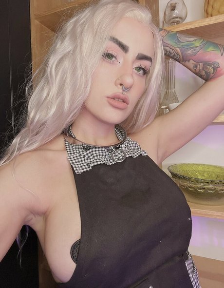 pokket official libre de estrellas galería