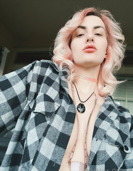 pokket official actriz xxx galerías