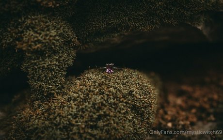 mysticwitch69 modèle meilleur des photos