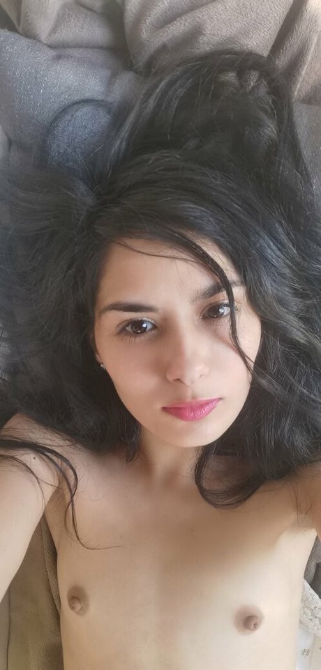 The blacksphinx modelo superior imágenes