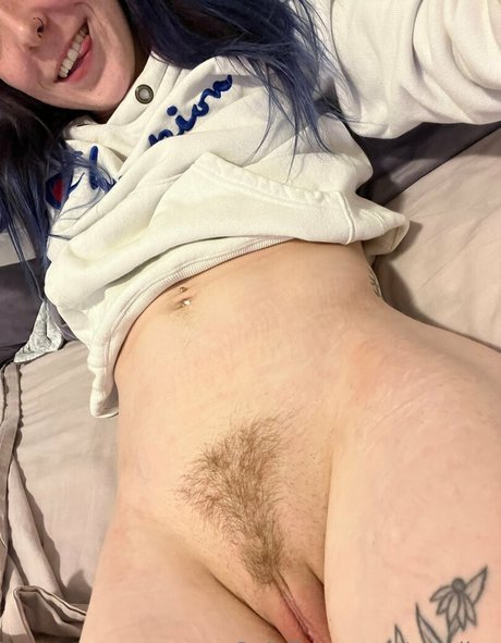 notriles étoile hd photos