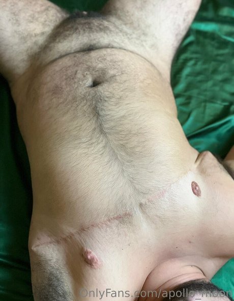 apollo moon Miniatura