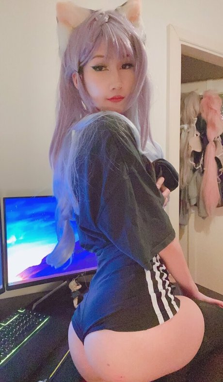 tanukiicos estrella de alta definición archivo