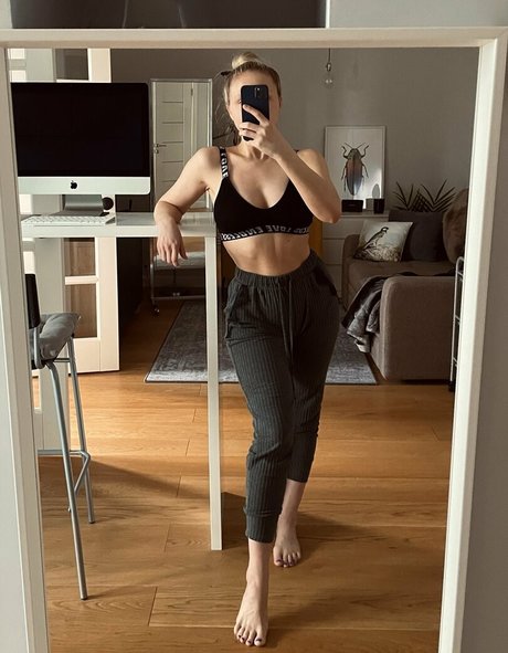 freeparrot estrella recopilación