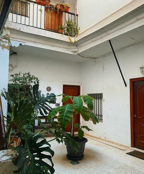 Helayna Birkett estrella de alta definición galerías