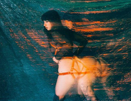 Reedsuicide estrella caliente recopilación