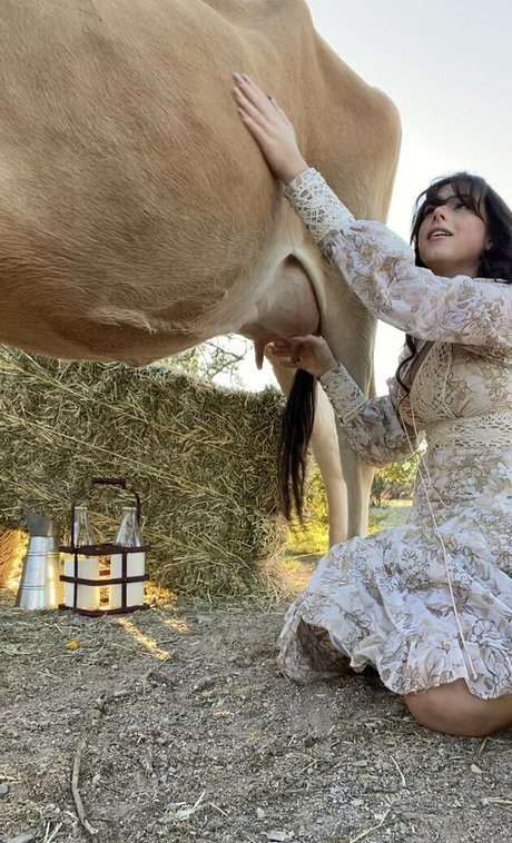 Reedsuicide star du porno xxx images