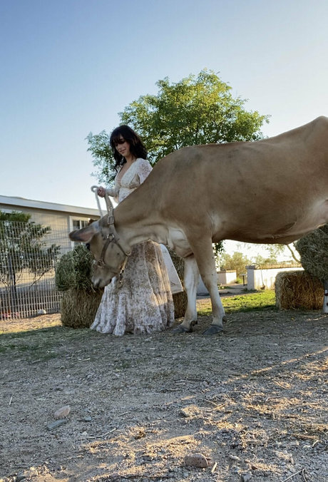 Reedsuicide estrella del sexo archivo