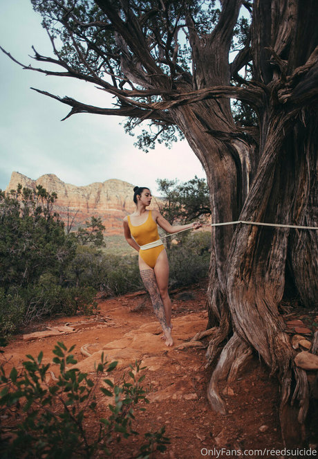 Reedsuicide actrice érotique photo