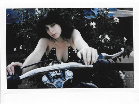 Reedsuicide modelo de arte recopilación