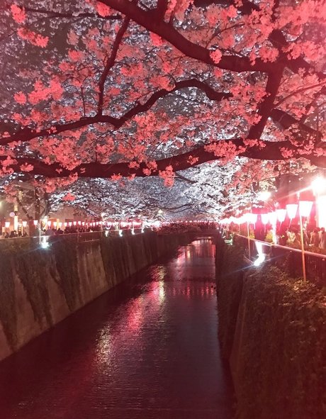 yacchi actriz de arte archivo