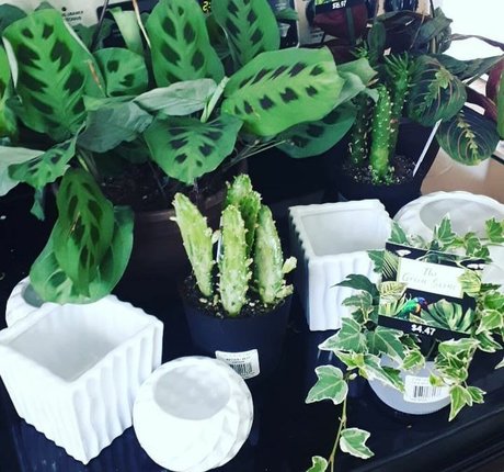 sweetheat 69 buena actriz galerías