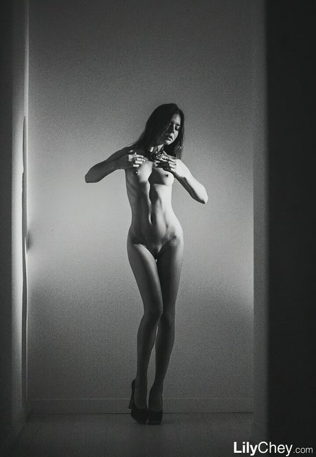 Guerlain libre de estrellas archivo