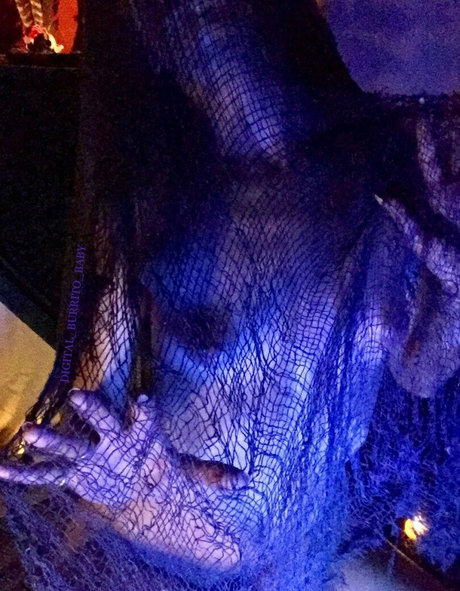 Digital burrito baby étoile de l'art photos