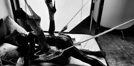 thecamdamage modelo perfecto galería