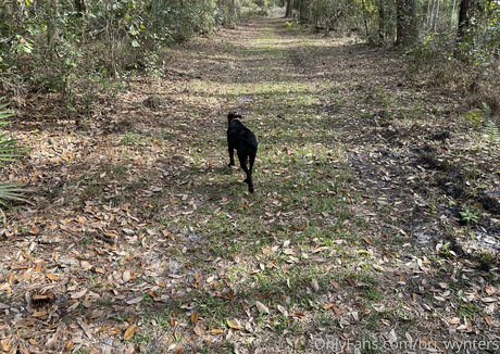 bri wynters bonita estrella imagen