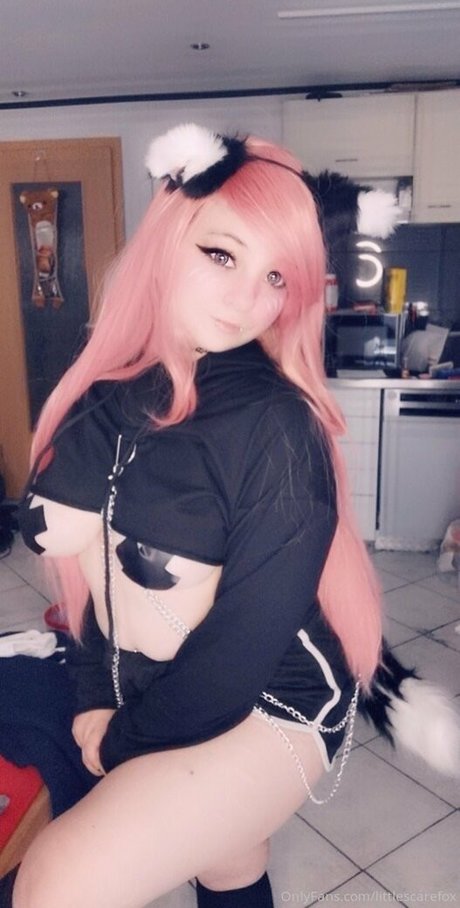 littlescarefox estrella caliente foto