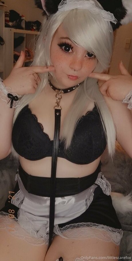 littlescarefox estrella exclusiva imagen