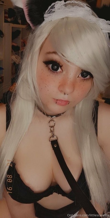 littlescarefox estrella porno de alta calidad imágenes