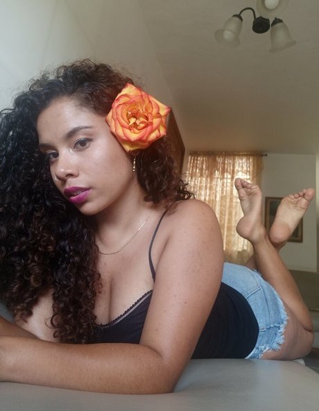 gia sauvage modèle de haute qualité image