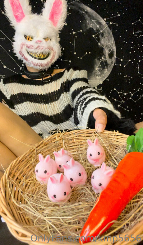 kmp5656 modelo libre imágenes