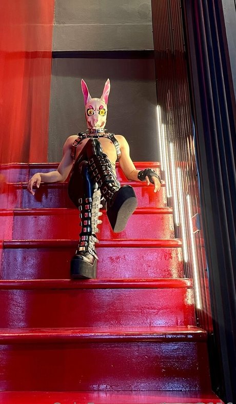 kmp5656 Image de profil