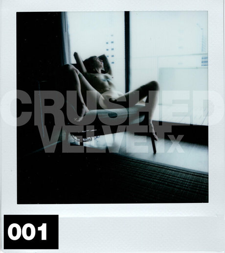 crushedvelvetx desnudos estrella porno archivo