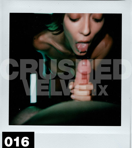 crushedvelvetx star du porno image