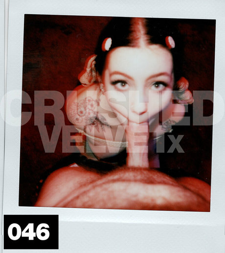 crushedvelvetx linda estrella imagen