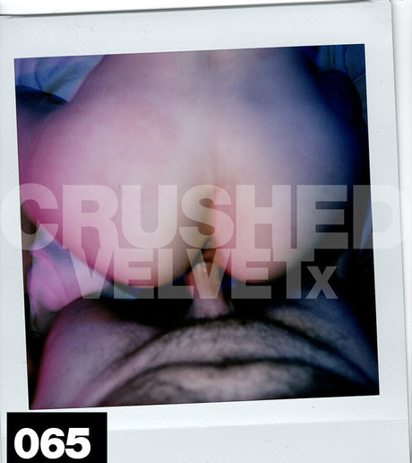 crushedvelvetx estrella exclusiva recopilación