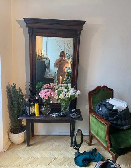 Fenix Fatalist estrella hermosa galerías