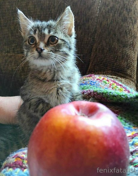 coño peludo de adolescente onlyfans agradable mejor galerías