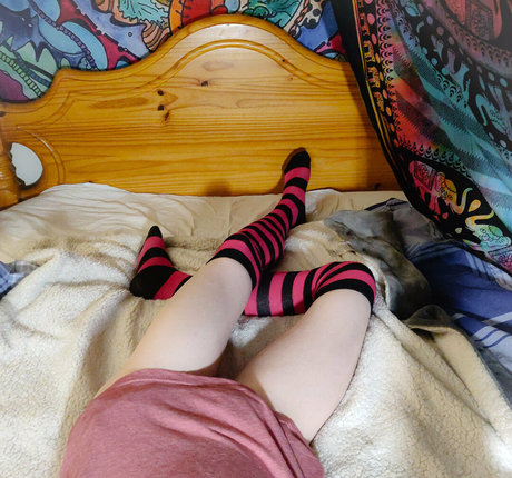 phox in socks modèle meilleur images