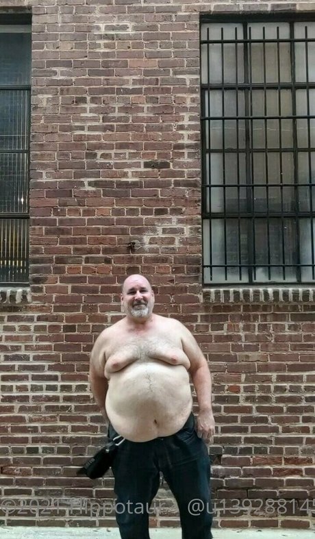 hippotaur modelo gratis recopilación