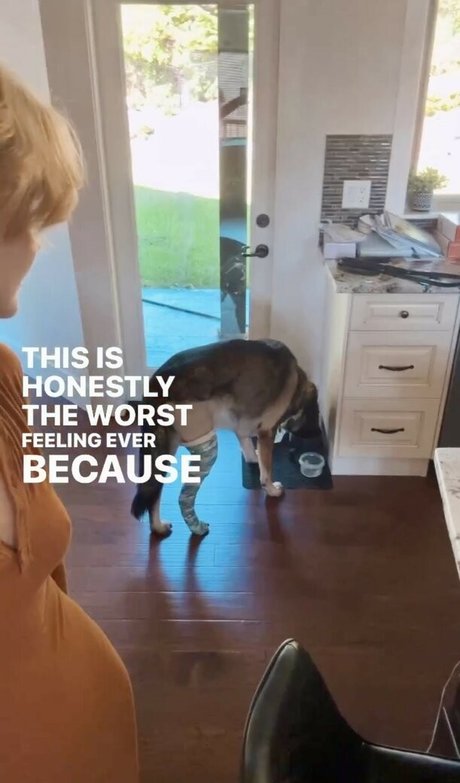 KallMeKris star pornographique galeries