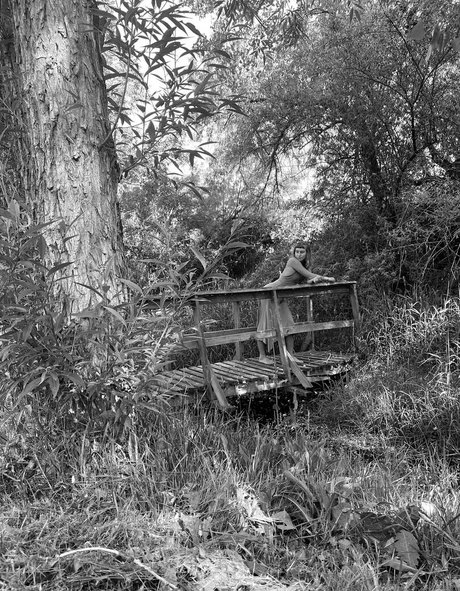 esposa morena onlyfans desnudo recopilación