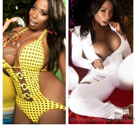 pantera22xxl star du porno hd collection