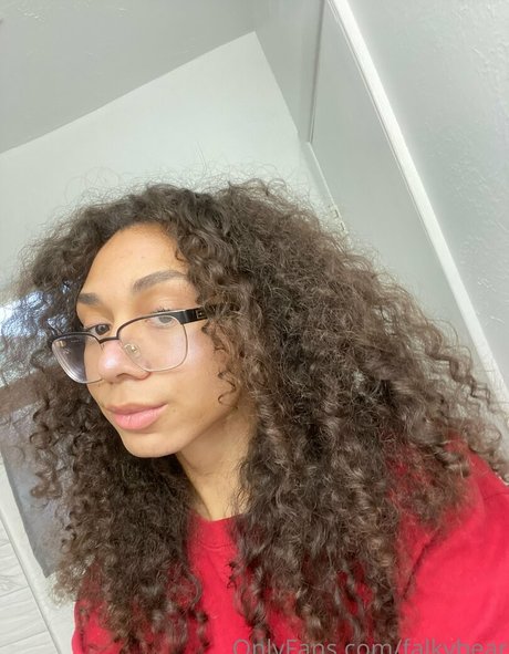 falkybear Imagen de perfil