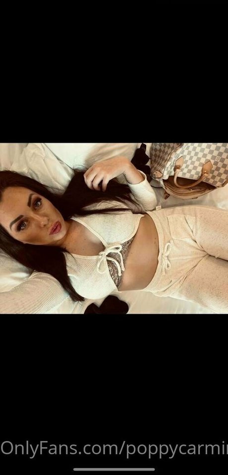 poppycarmine étoile hd images