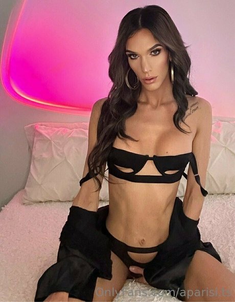 aparisi ts high quality model archive